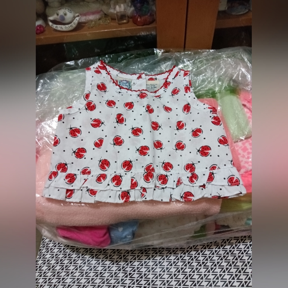 Little Lindsey Ladybug Top 6/9M